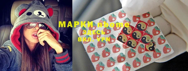 apvp Алзамай